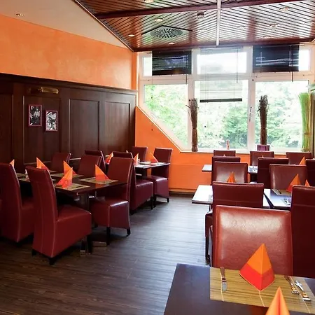 Carathotel Basel/weil Am Rhein Otel 4*