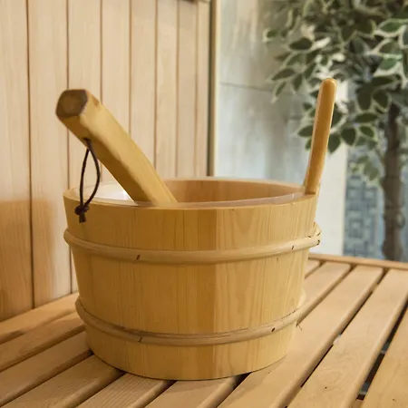 캐럿 바젤/바일 암 라인 호텔