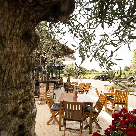 캐럿 바젤/바일 암 라인 호텔 바일암라인