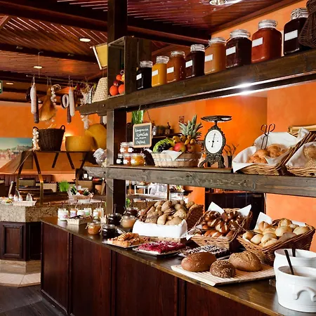 Carathotel Basel/weil Am Rhein Hotel