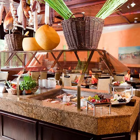 Hotel Carathotel Basel/weil Am Rhein Weil am Rhein