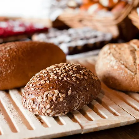 Carathotel Basel/weil Am Rhein Hotel 4*