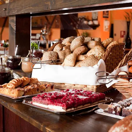 Carathotel Basel/weil Am Rhein Hotel