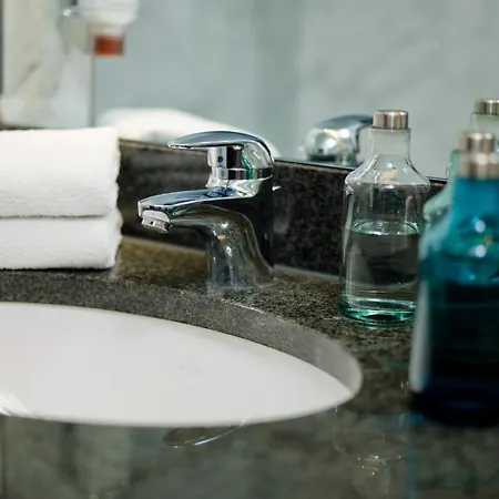 Otel Carathotel Basel/weil Am Rhein 4*