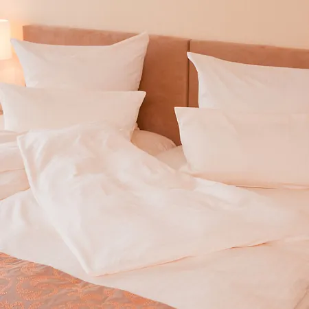 캐럿 바젤/바일 암 라인 호텔