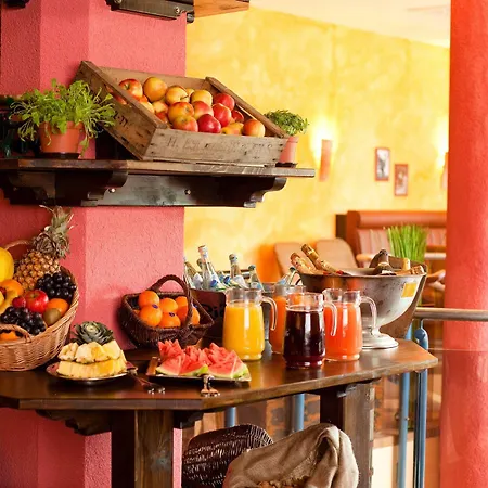 Hotel Carathotel Basel/weil Am Rhein