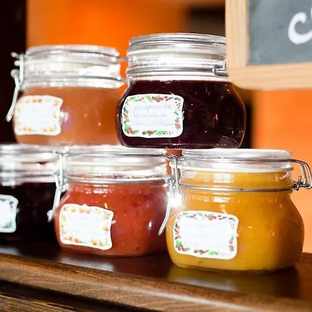 호텔 캐럿 바젤/바일 암 라인 4*