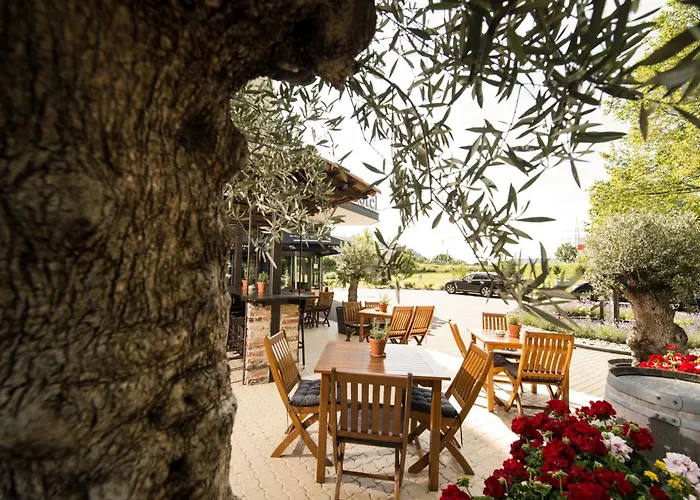 Carathotel Basel/weil Am Rhein Hotel Weil am Rhein