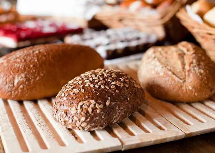 Carathotel Basel/weil Am Rhein Hotel 4*